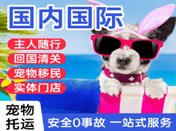 安顺黄果树机场空运国际宠物托运 【国
